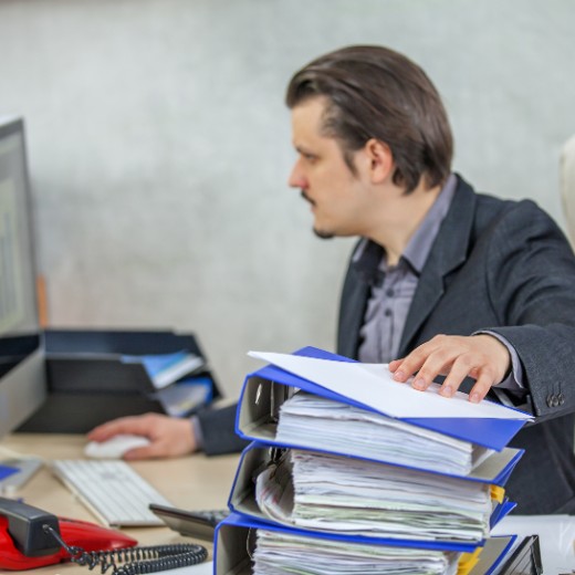 Legal Translation Document Management